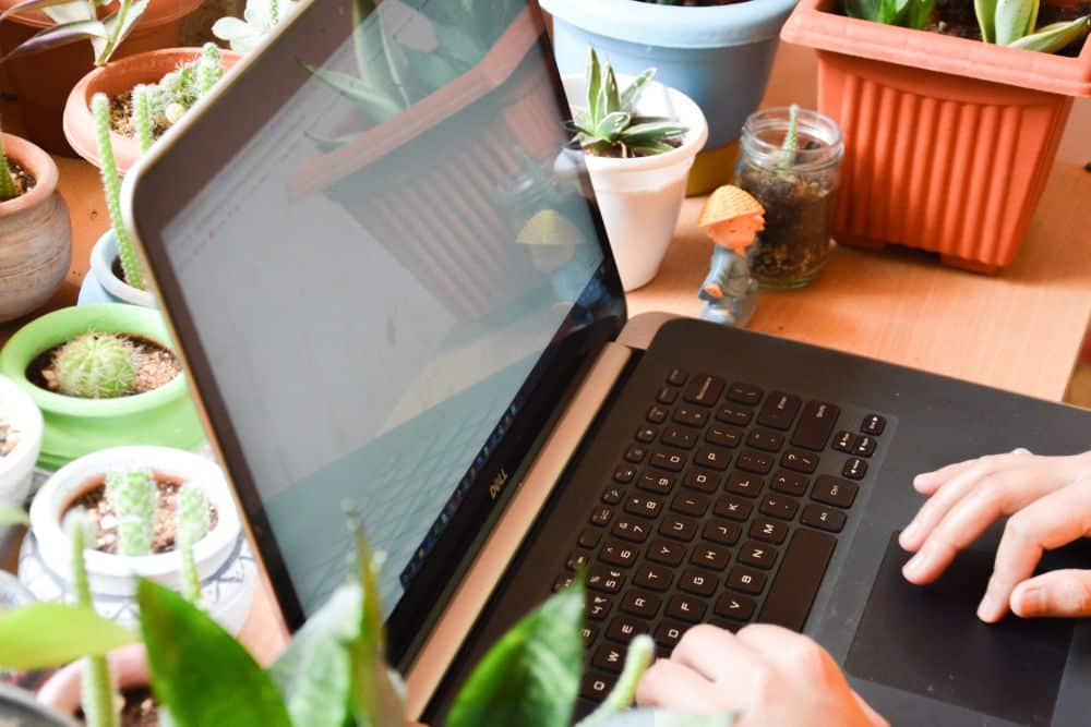 marca de laptop es buena y económica
